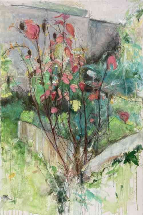 dogwood, allotment
